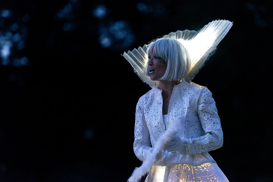 échassiers lumineux pour le lancement des illuminations de noël, l’animation des marchés de noël, animation en déambulation pour fêter noël 